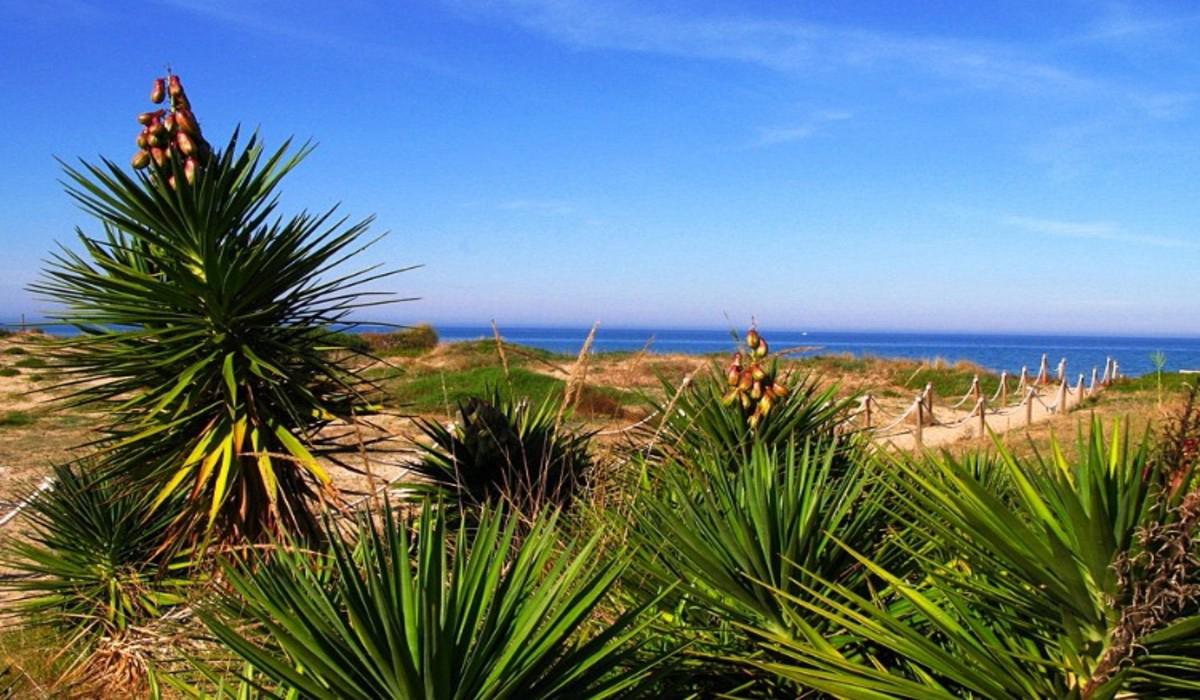 Los Llanos Costa de Valencia - Dénia visuel 5/5