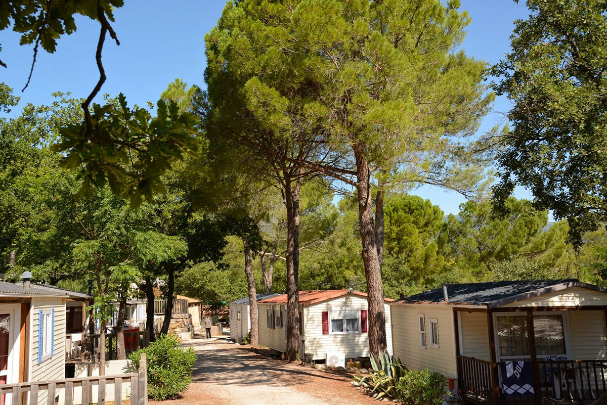 Lou Cantaire Provence-Alpes-Côte d'Azur - Fayence visuel 7/16 Lou Cantaire Provence-Alpes-Côte d'Azur - Fayence visuel 7/16