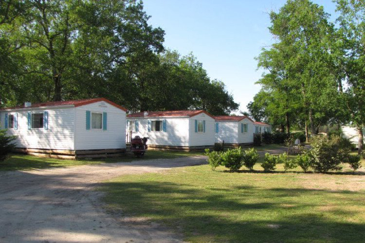 Lou Payou Aquitanien - Lesperon visuel 8/16