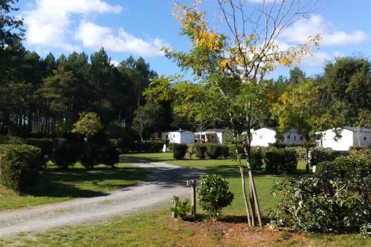 Lou Payou Aquitanien - Lesperon visuel 4/16