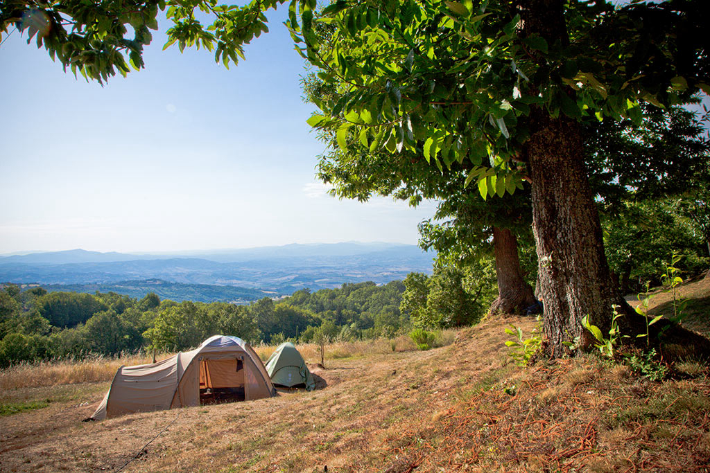 Lucherino Toskana - Cinigiano visuel 2/4