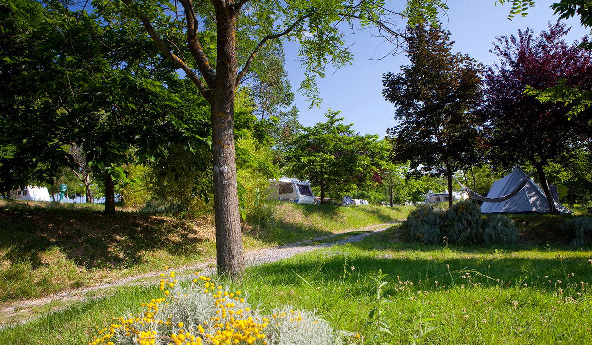 Ludo Rhône-Alpen - Lussas visuel 486/1059
