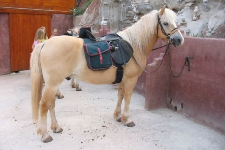 Manso Coguleras Katalonien - Sant Jaume de Llierca visuel 4/7 Manso Coguleras Katalonien - Sant Jaume de Llierca visuel 4/7