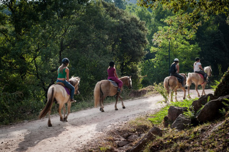 Manso Coguleras Katalonien - Sant Jaume de Llierca visuel 3/7 Manso Coguleras Katalonien - Sant Jaume de Llierca visuel 3/7
