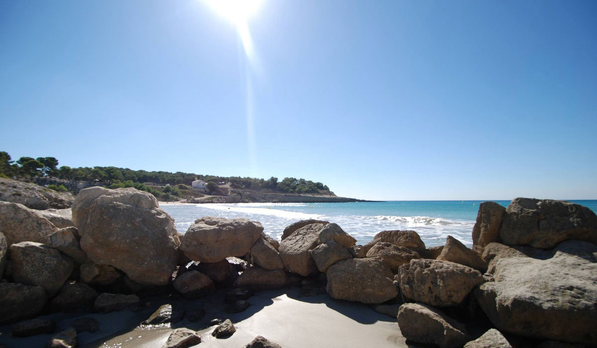 Marius Provence-Alpes-Côte d'Azur - Martigues visuel 2/10