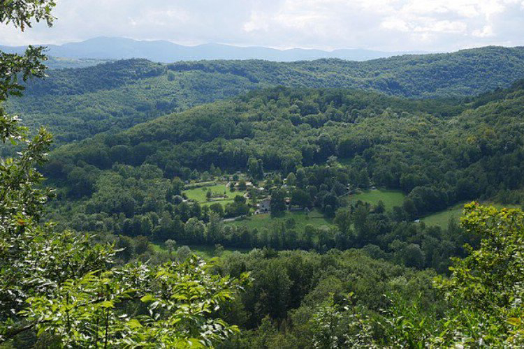Millefleurs Midi-Pyrénées - Gudas visuel 2/2 Millefleurs Midi-Pyrénées - Gudas visuel 2/2