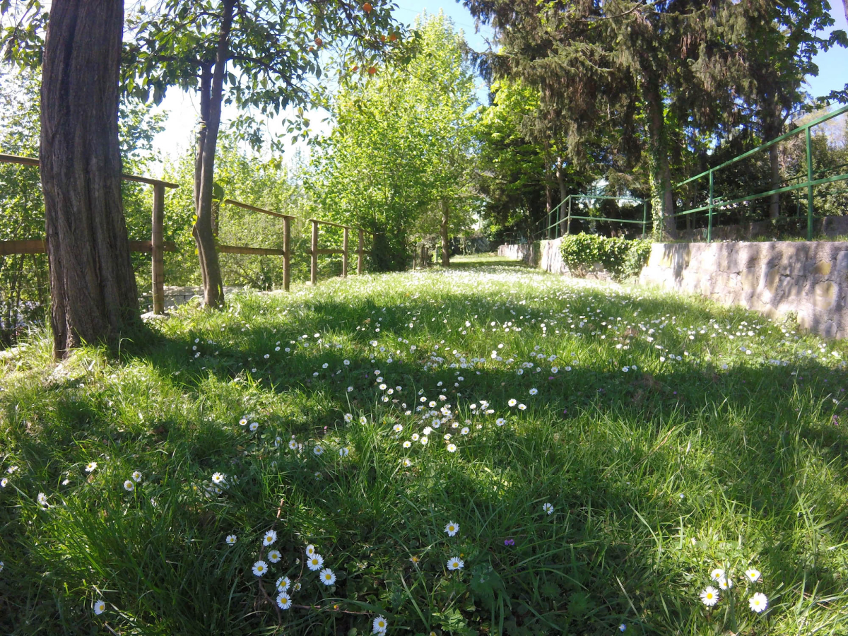 Miraflores Ligurien - Rapallo visuel 3/3