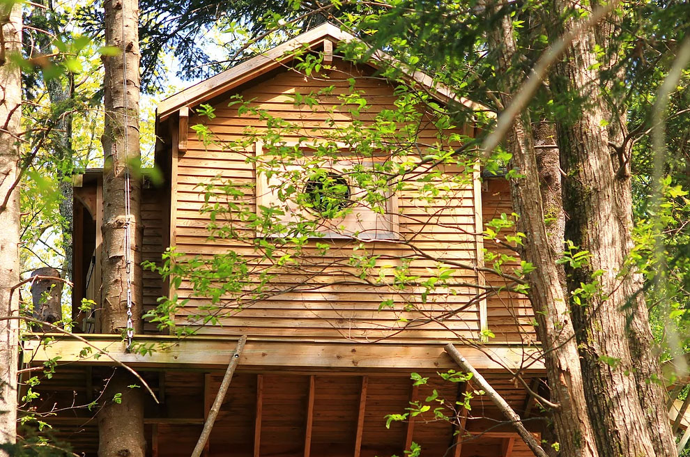 Mont Ôz'Arbres Languedoc-Roussillon - Prats-de-Mollo-la-Preste visuel 1/11 Mont Ôz'Arbres Languedoc-Roussillon - Prats-de-Mollo-la-Preste visuel 1/11