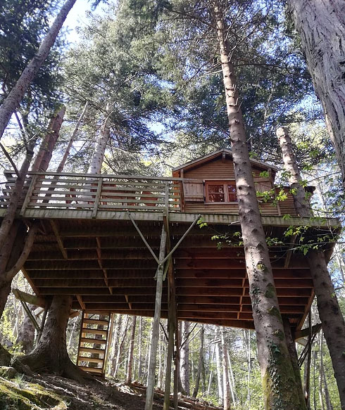 Mont Ôz'Arbres Languedoc-Roussillon - Prats-de-Mollo-la-Preste visuel 7/11 Mont Ôz'Arbres Languedoc-Roussillon - Prats-de-Mollo-la-Preste visuel 7/11
