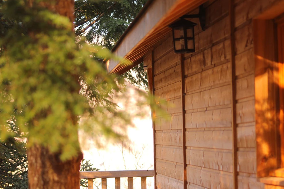 Mont Ôz'Arbres Languedoc-Roussillon - Prats-de-Mollo-la-Preste visuel 11/11 Mont Ôz'Arbres Languedoc-Roussillon - Prats-de-Mollo-la-Preste visuel 11/11