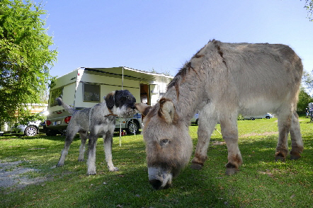 Märchencamping Niedersachsen - stuhr visuel 3/3