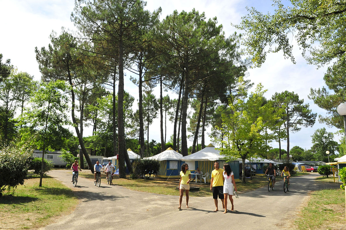 Campéole Navarrosse Plage Aquitanien - Biscarrosse visuel 10/38