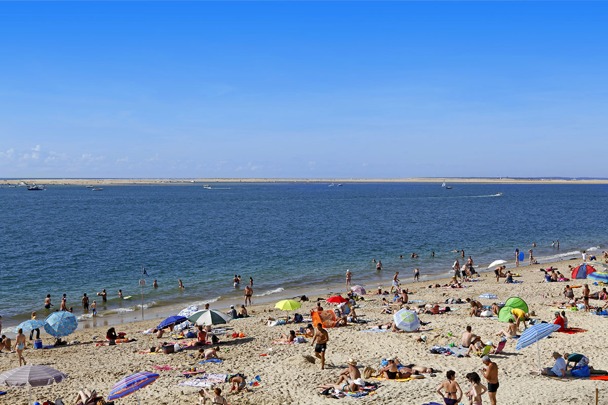 Campéole Navarrosse Plage Aquitanien - Biscarrosse visuel 35/38