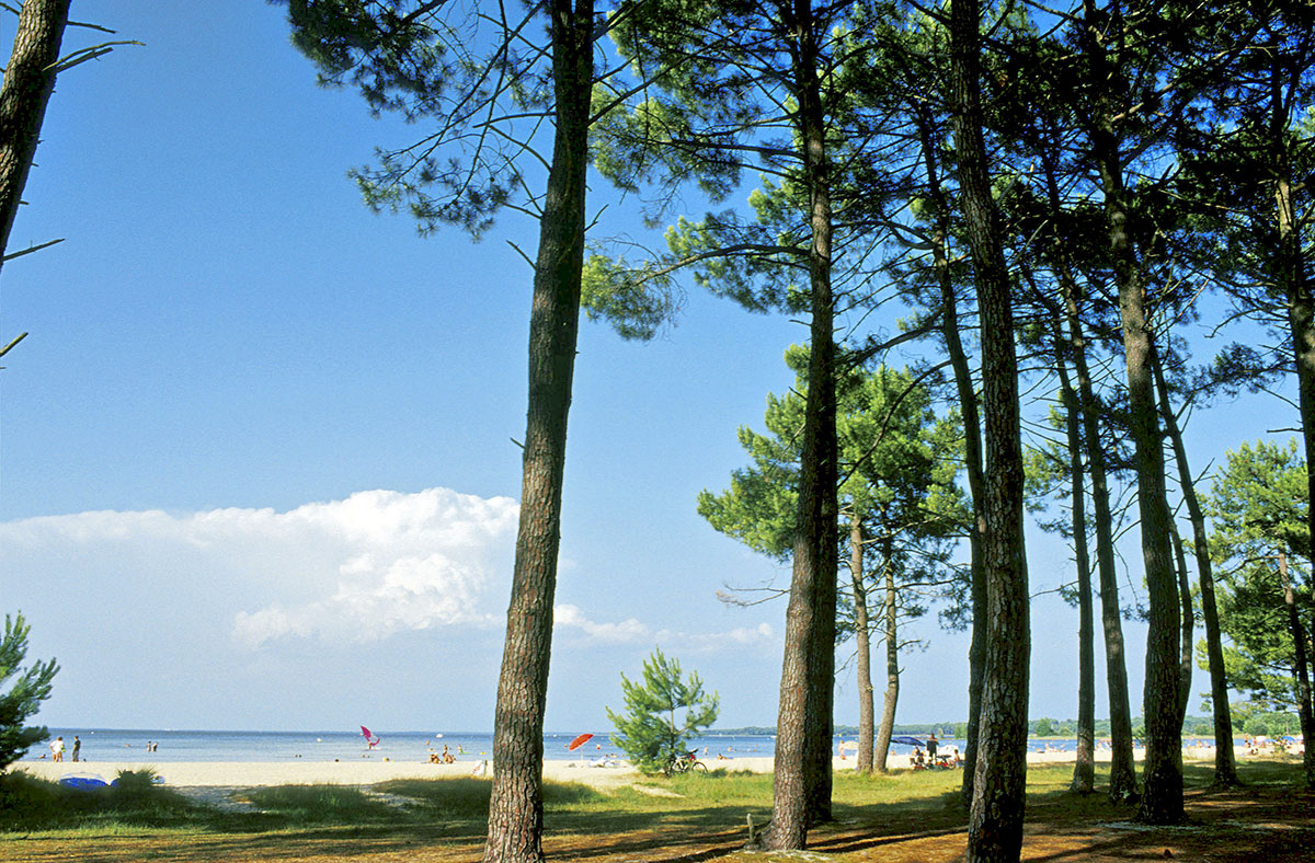 Campéole Navarrosse Plage Aquitanien - Biscarrosse visuel 16/38