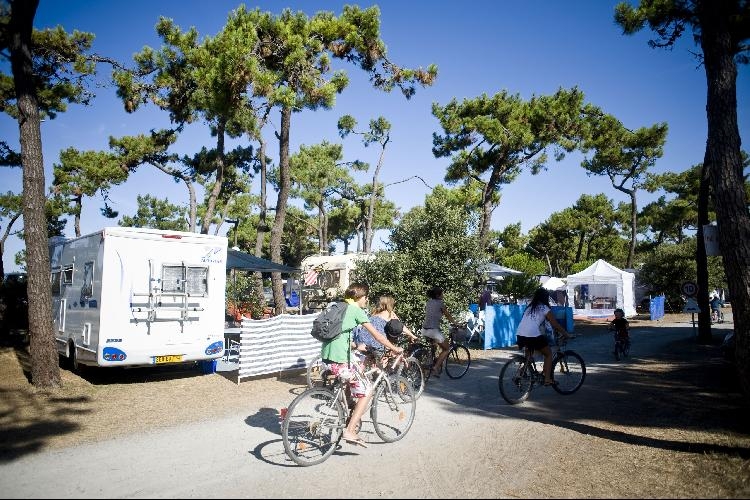 Noirmoutier Das Loire-Gebiet - Noirmoutier-en-l'Île visuel 2/8 Noirmoutier Das Loire-Gebiet - Noirmoutier-en-l'Île visuel 2/8