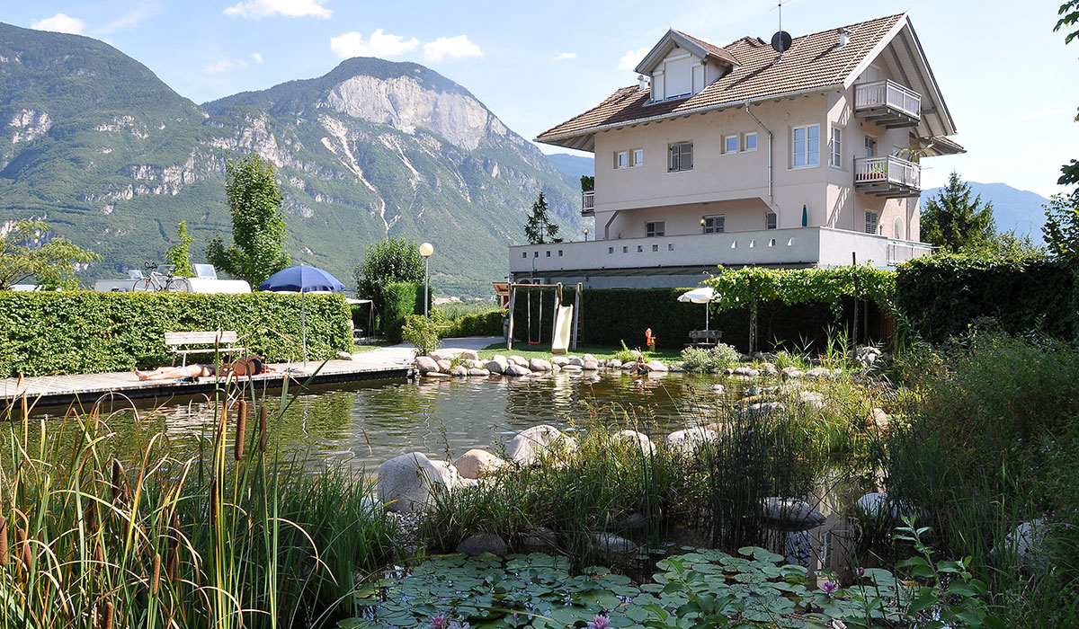 Obstgarten Trentino Südtirol - Trentino Südtirol - Cortaccia sulla Strada del Vino visuel 1/1