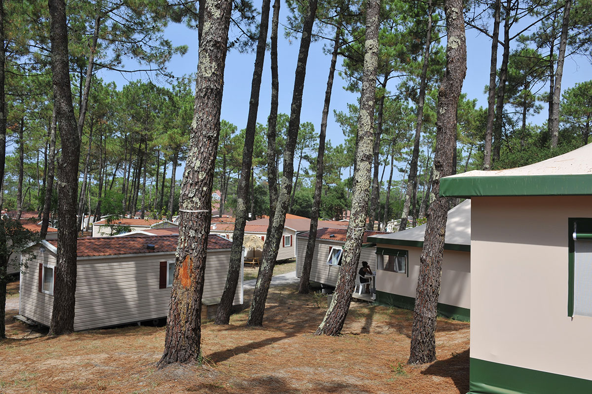 Ondres Plage Aquitanien - Ondres visuel 4/11 Ondres Plage Aquitanien - Ondres visuel 4/11