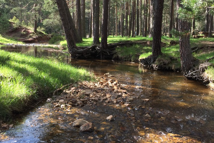 Orea Kastilien La Mancha - Orea visuel 3/7