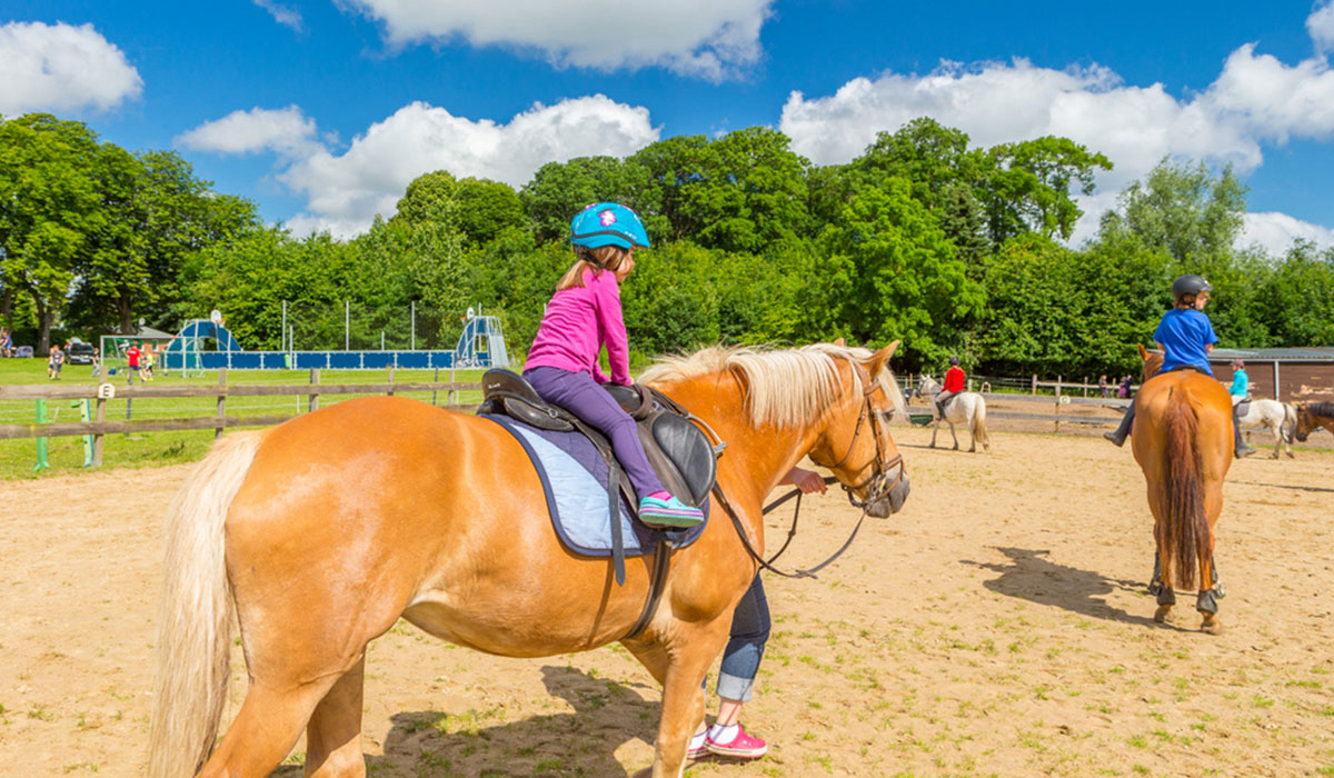 Ostsee Katharinenhof Schleswig-Holstein - Fehmarn visuel 4/4