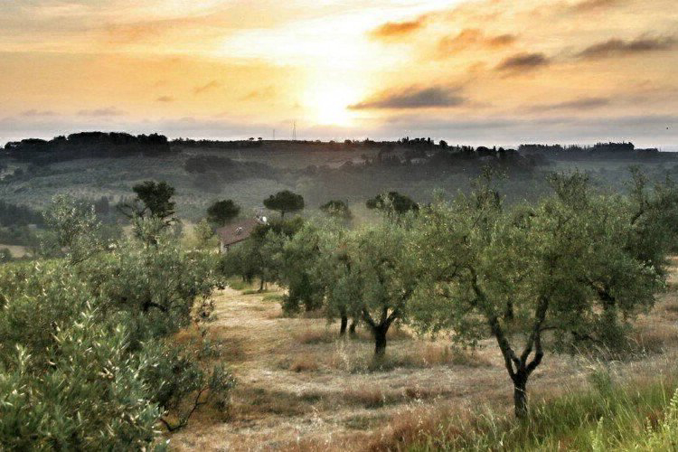 Panorama del Chianti Toskana - Certaldo visuel 2/7