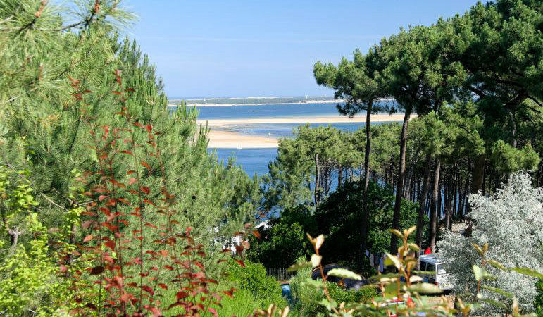 Panorama du Pyla Aquitanien - Pyla sur Mer visuel 5/6