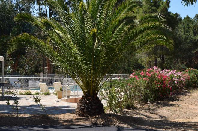 Paradella Korsika - Calenzana visuel 3/7 Paradella Korsika - Calenzana visuel 3/7