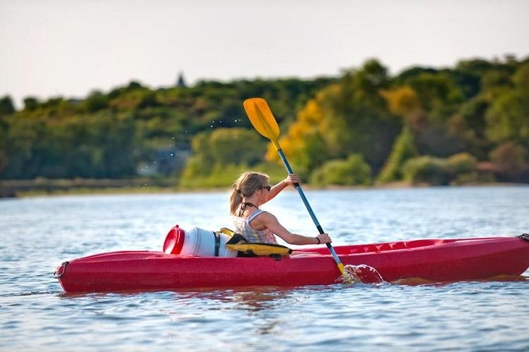 Parc de Montsabert Das Loire-Gebiet - Coutures visuel 5/9