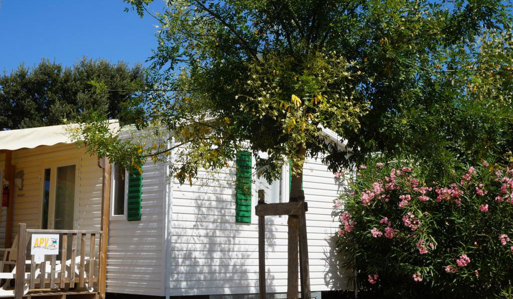 Parc résidentiel la Listra Korsika - Belgodère visuel 5/16