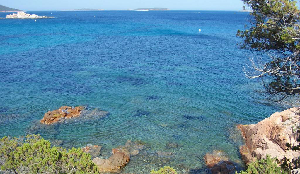 Parc résidentiel la Listra Korsika - Belgodère visuel 6/16