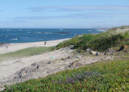 Parque de Campismo Sol de Vila Chã Norte - Vila do Conde visuel 3/3