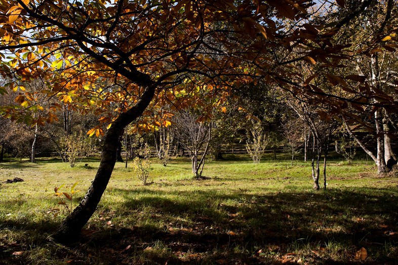 Parque de Cerdeira Norte - Cerdeira visuel 3/4