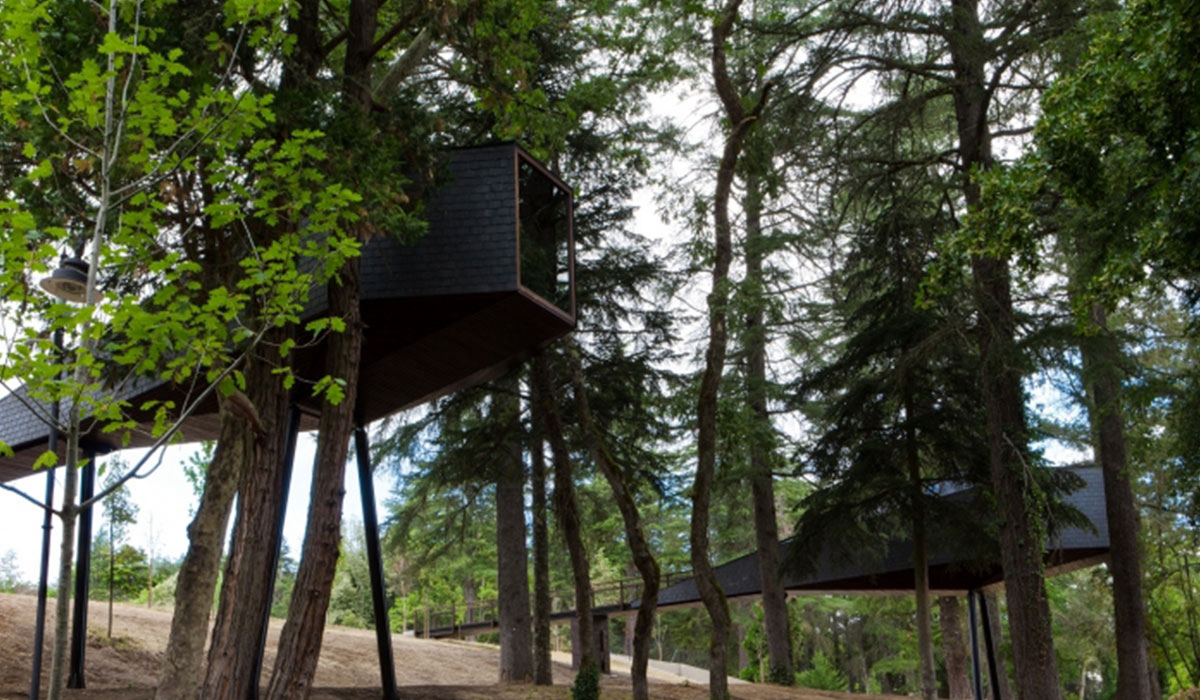 Pedras Salgadas Spa & Nature Park Norte - Bornes de Aguiar visuel 2/6