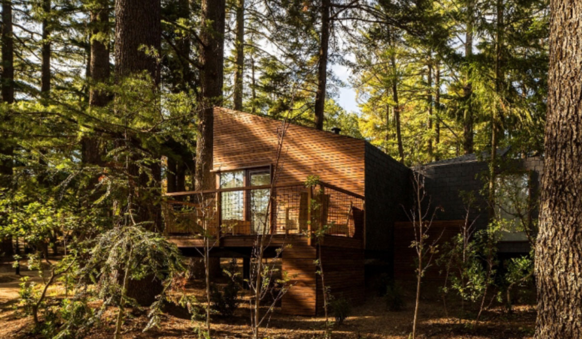 Pedras Salgadas Spa & Nature Park Norte - Bornes de Aguiar visuel 6/6