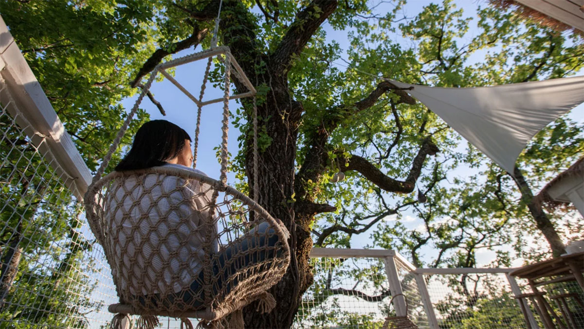 Domaine Pella Roca Aquitanien - Labastide-de-Penne visuel 5/6