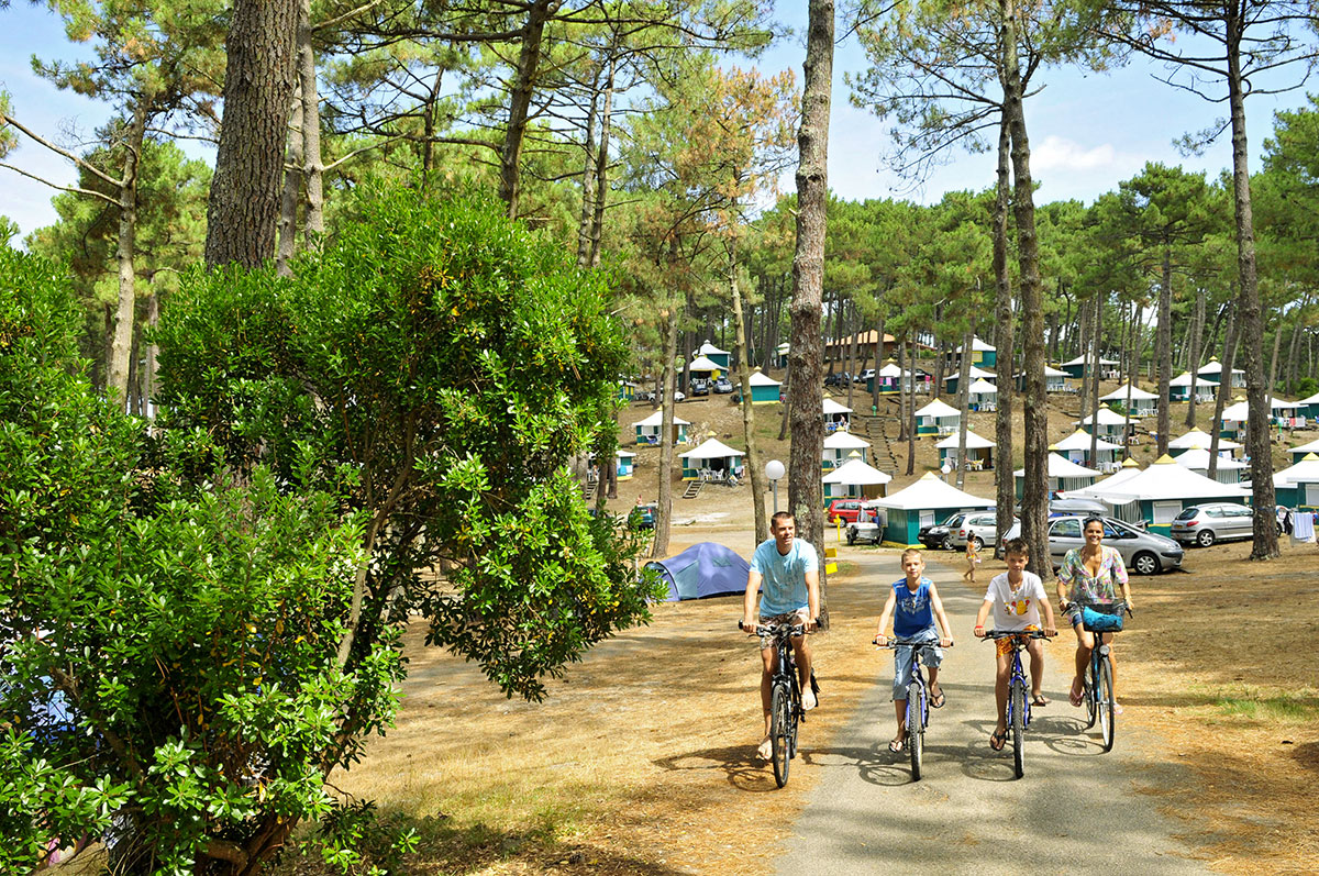 Campéole Plage Sud Aquitanien - Biscarrosse-Plage visuel 8/34