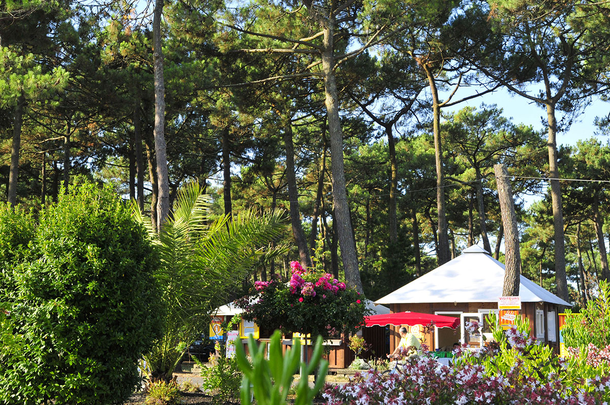 Campéole Plage Sud Aquitanien - Biscarrosse-Plage visuel 34/34