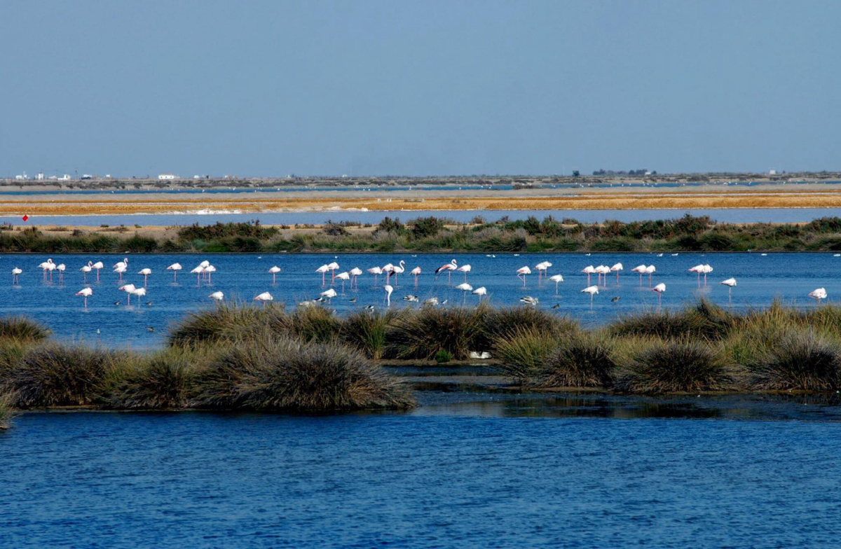 Playa la Bota Andalusien - null visuel 3/3