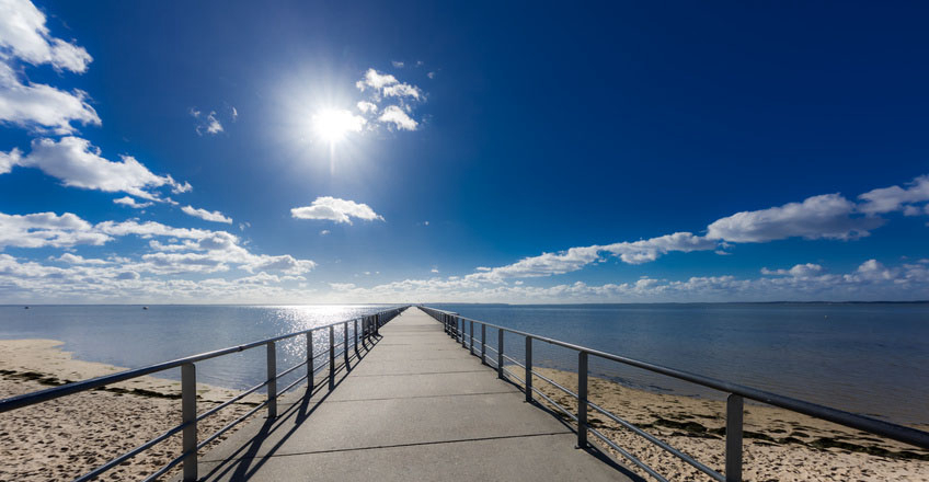 Pleine Foret Aquitanien - Andernos-les-Bains visuel 1/1