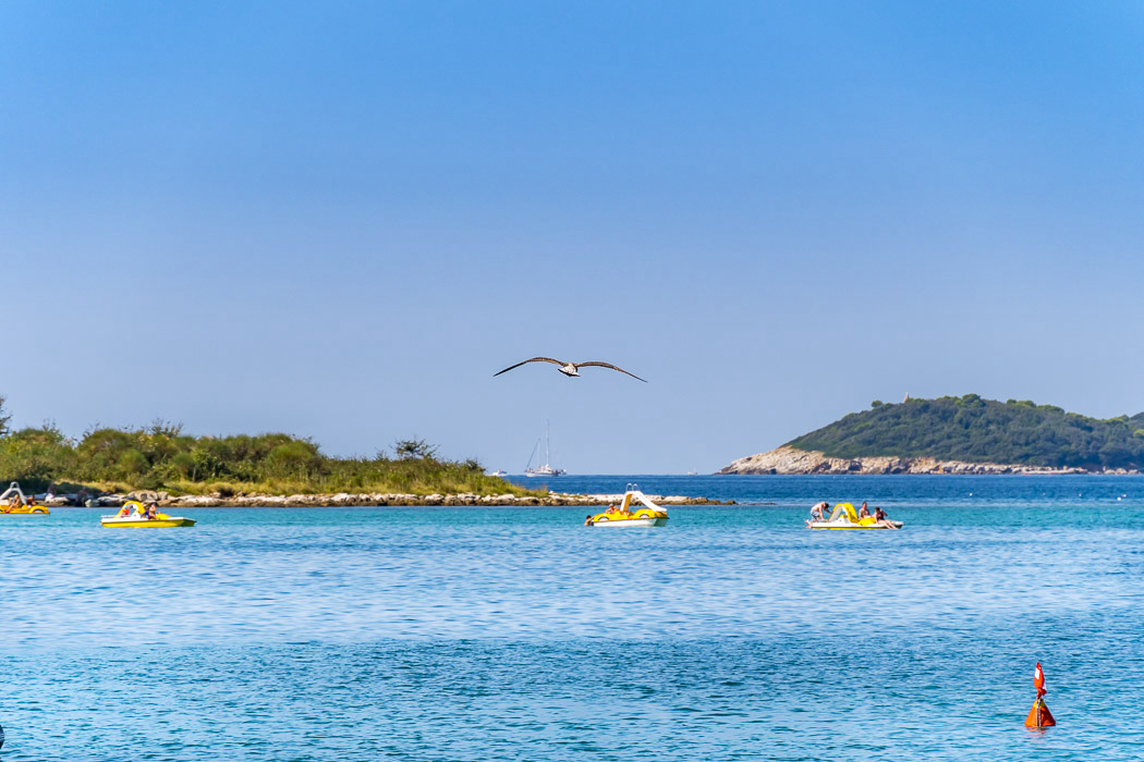 Polari Istrien - Rovinj visuel 7/12