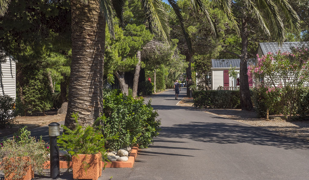 Pré Catalan Languedoc-Roussillon - Le Barcarès visuel 6/13