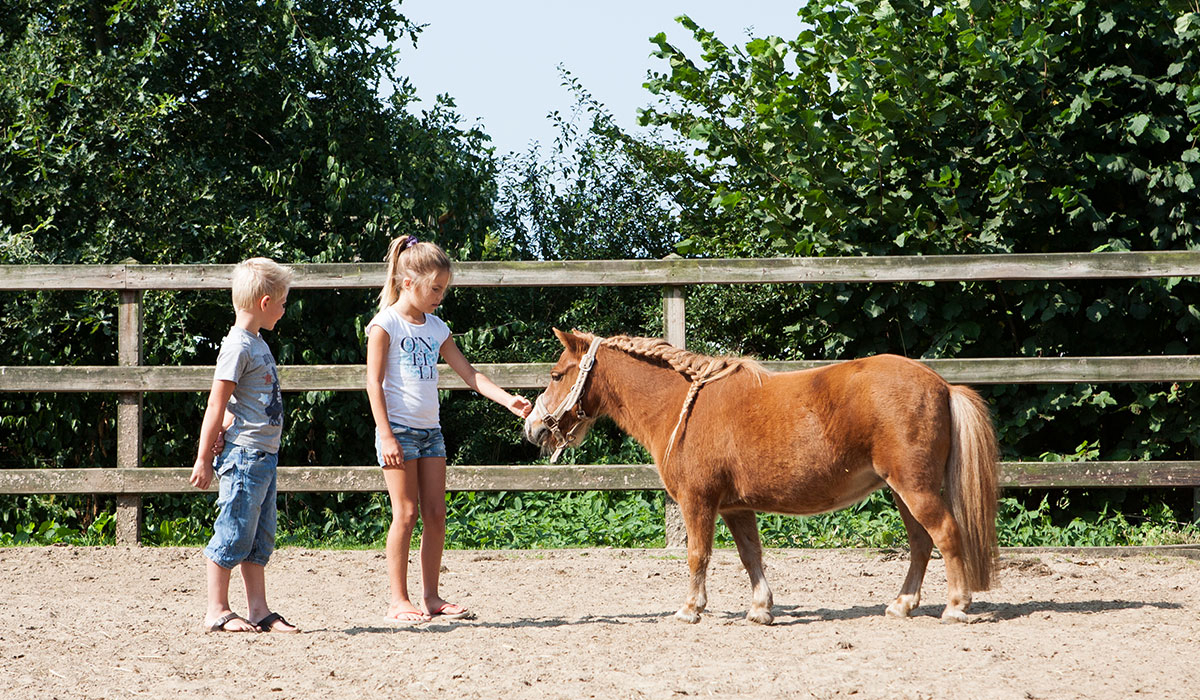 Recreatiepark De Boshoek Gelderland - voorthuizen visuel 6/6