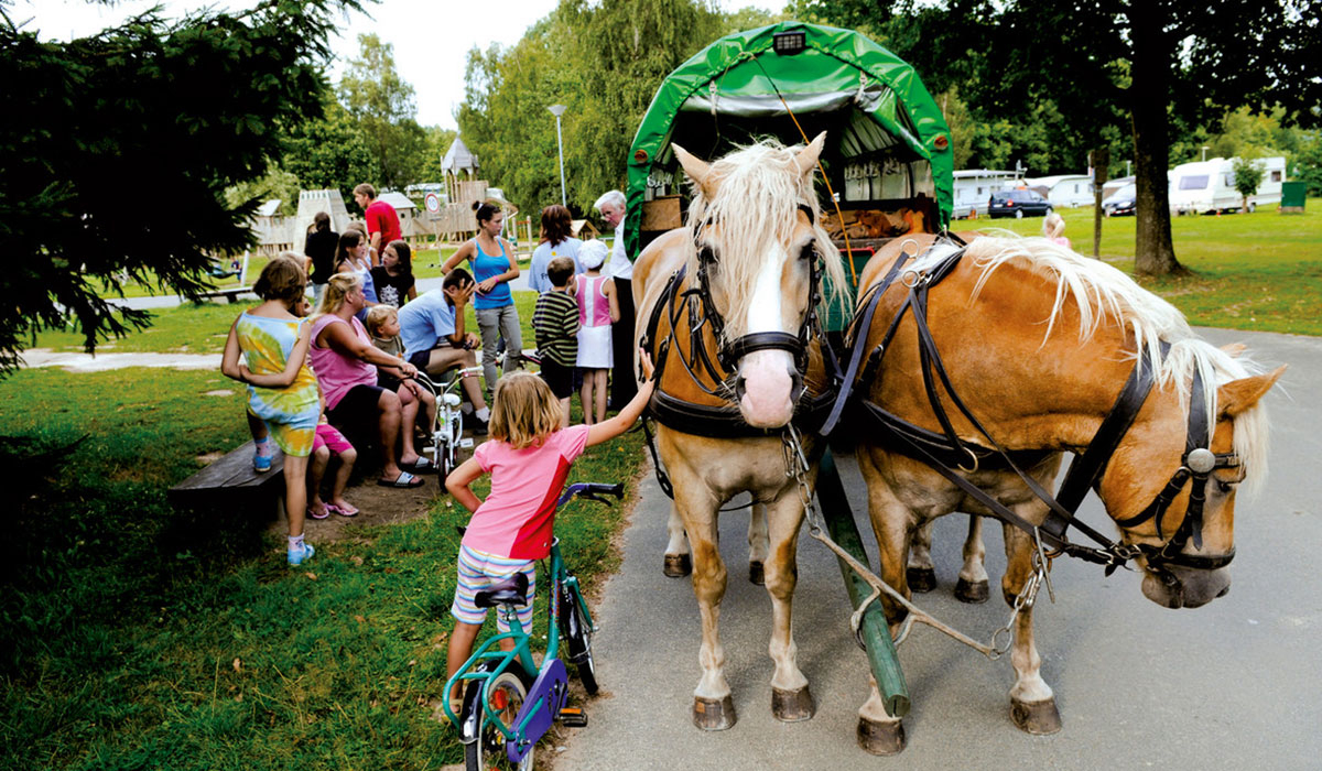 Regenbogen Tecklenburg Nordrhein-Westfalen - tecklenburg visuel 5/5 Regenbogen Tecklenburg Nordrhein-Westfalen - tecklenburg visuel 5/5