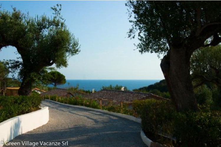 Résidence Green Village Kampanien - Camerota visuel 2/4