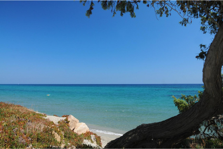 Riva Bella Domaine Naturiste - Korsika - Aléria visuel 2/9