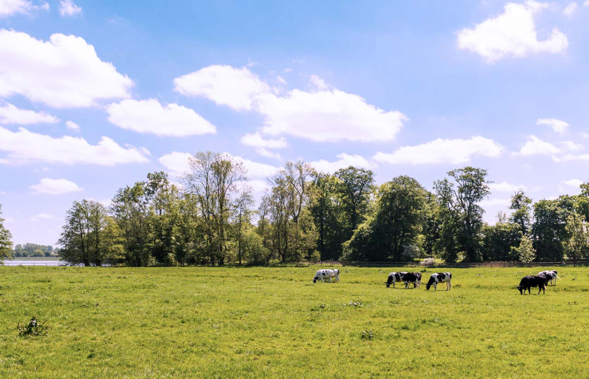 Rosenfelder Strand Ostsee Schleswig-Holstein - Grube visuel 2/3