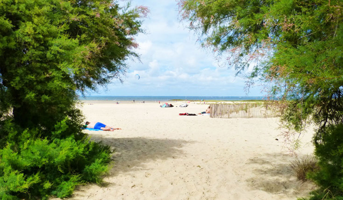 Routes du Monde ATC-La Hume Aquitanien - Gujan-Mestras visuel 1/3