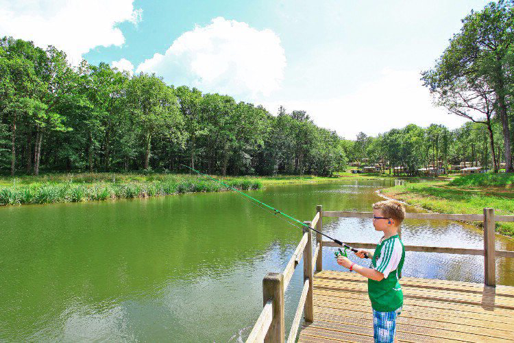 Saint Avit Loisirs Aquitanien - Saint-Avit-de-Vialard visuel 14/14 Saint Avit Loisirs Aquitanien - Saint-Avit-de-Vialard visuel 14/14