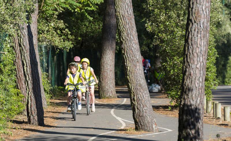 Les Cabanes d'Oléron Das Loire-Gebiet - Talmont-Saint-Hilaire visuel 5/10 Les Cabanes d'Oléron Das Loire-Gebiet - Talmont-Saint-Hilaire visuel 5/10
