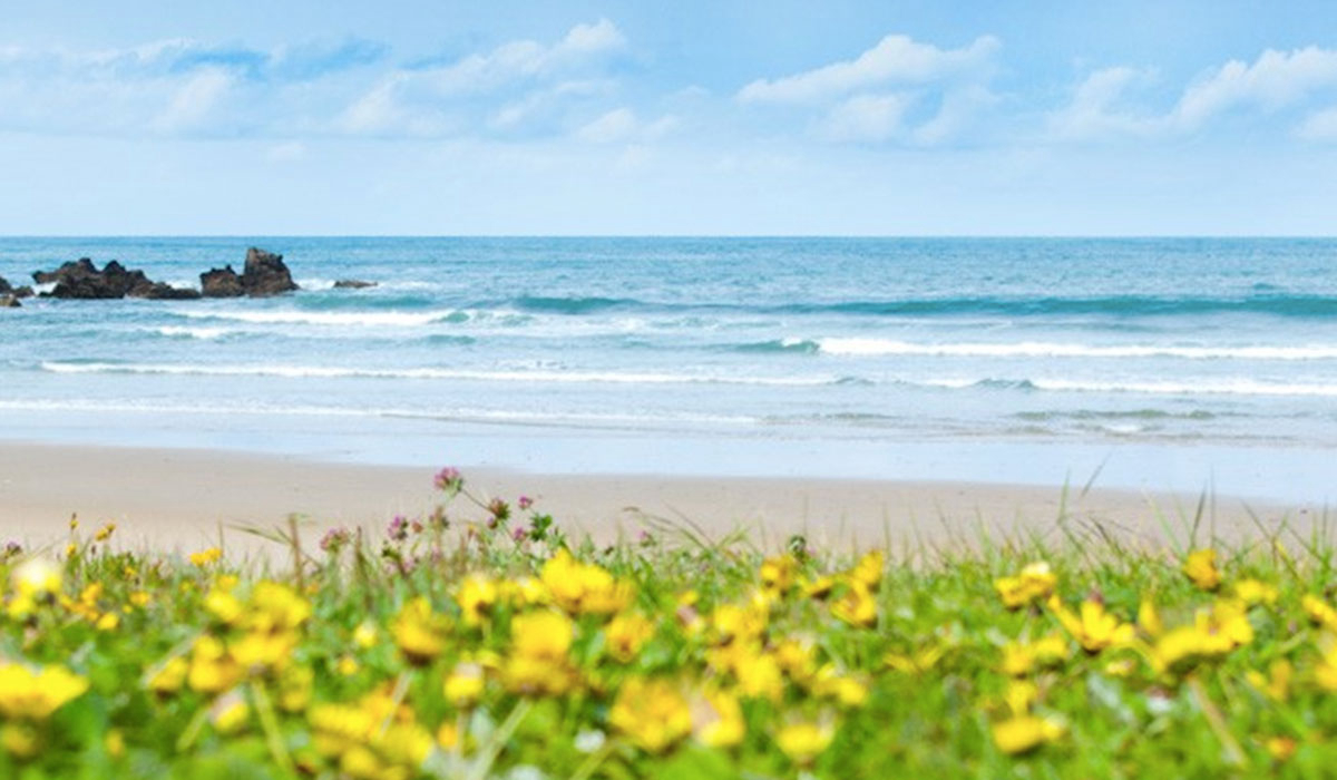 San Pedro de la Ribera Asturien - Cudillero visuel 1/2