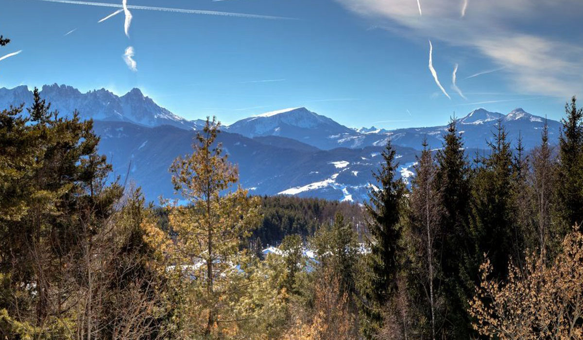 Schartner Alm Trentino Südtirol - Trentino Südtirol - Renon visuel 1/1